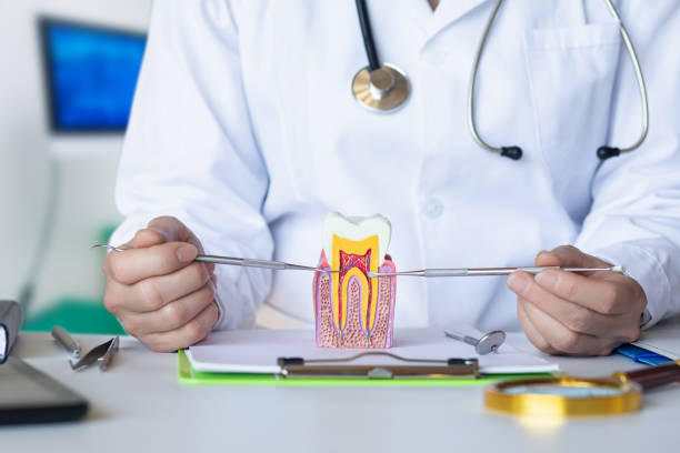 Best Pediatric Emergency Dentist in Wayne, MI